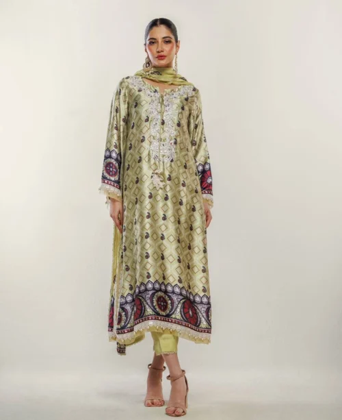 Silk kameez designs